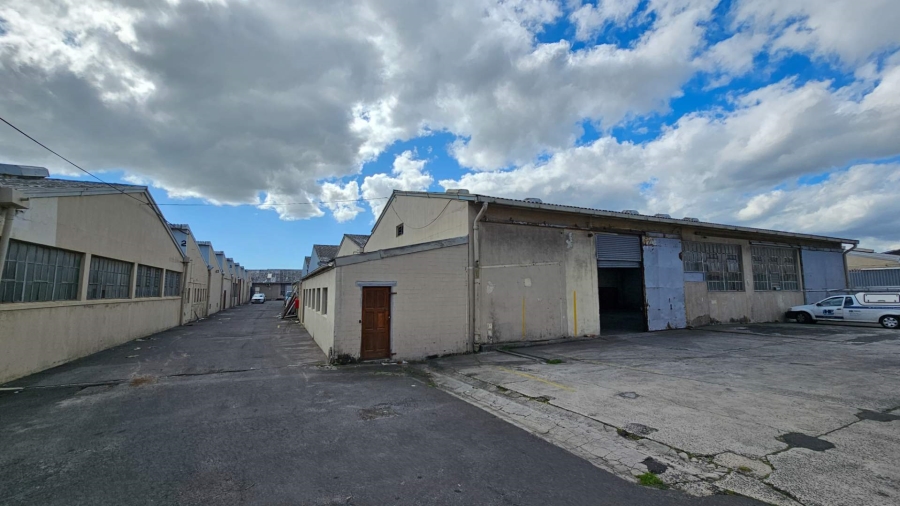 To Let commercial Property for Rent in Epping Industrial Western Cape